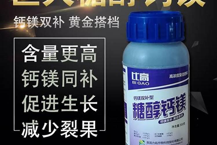沃柑10月份怎么管理