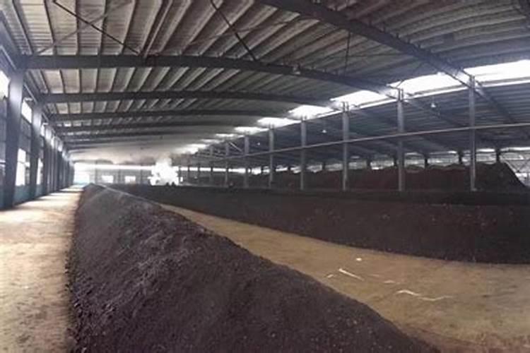黄枯原粉菌用到地里存活多久