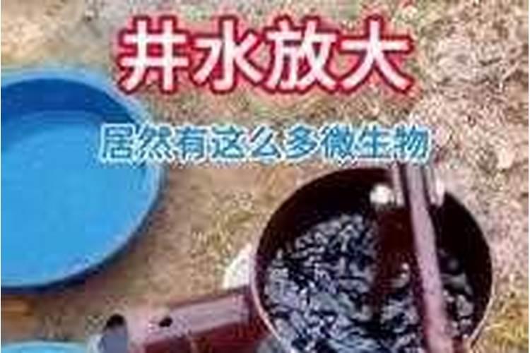 雨水放的时间长了能浇花吗