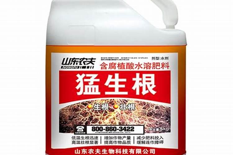 绿萝用什么肥料