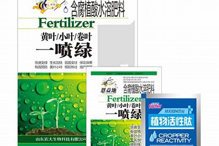 绿萝施什么肥好