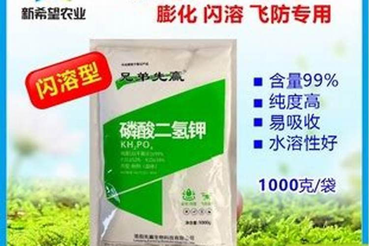 黄豆增产的方法有几种