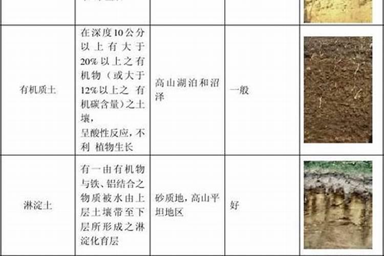 如何从土壤剖面形态特征初步判断土壤的肥力状况