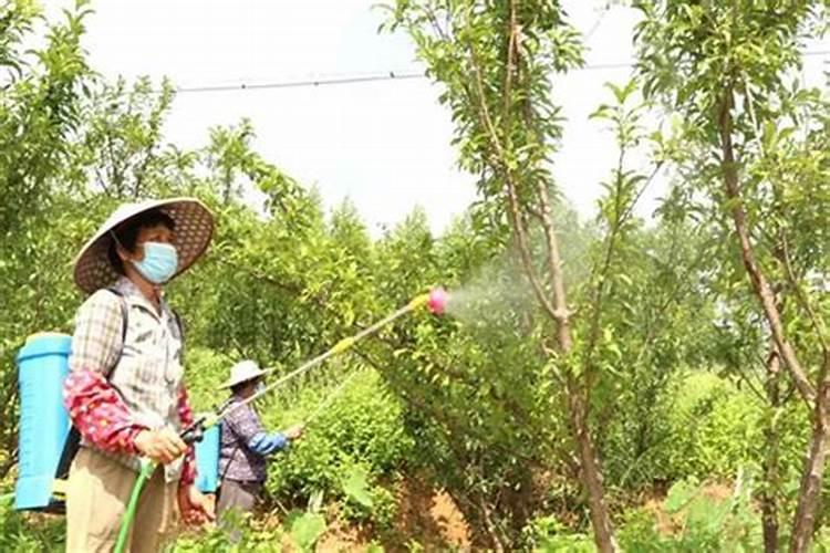 四川好时吉化工有限公司企业简介