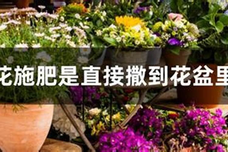 复合肥怎么放在花盆里