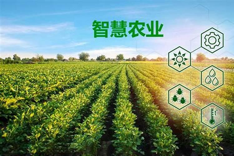 农家肥和化肥哪个更利于庄稼？