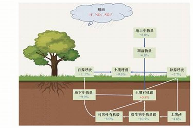 为什么雨后的植物长得很快