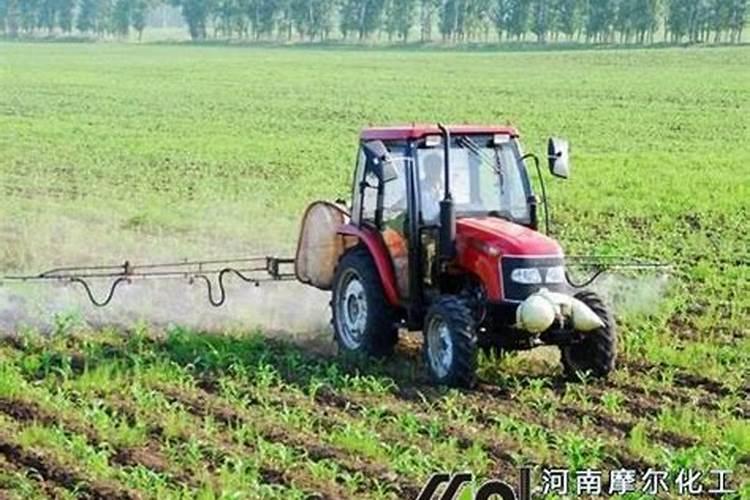 大量元素水溶肥怎么施用