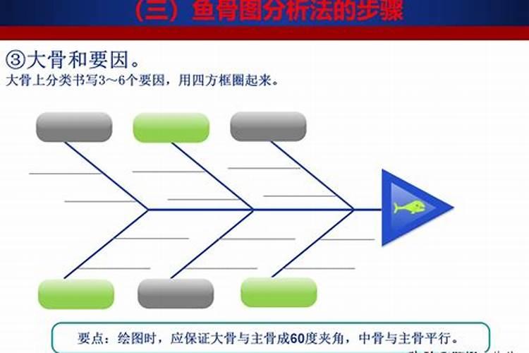 君子兰上什么肥料最好