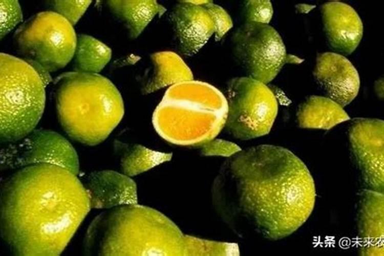 水稻钾肥什么时候施
