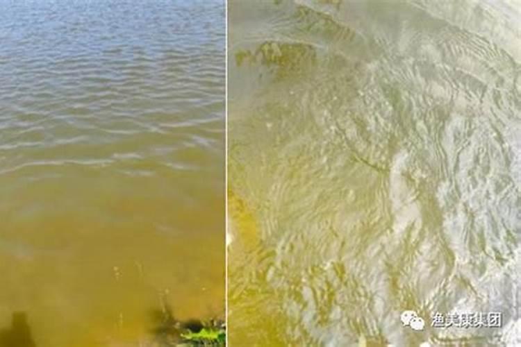 水溶肥价格多少钱一吨