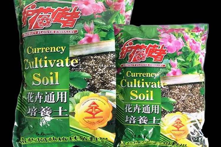 兰花要施什么肥料好才能开花 兰花花期用什么肥料最好