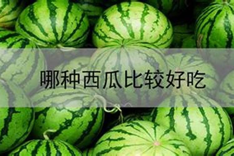河北涿州市属于哪个市