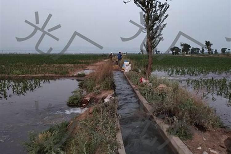 水溶肥怎么施用效果更好