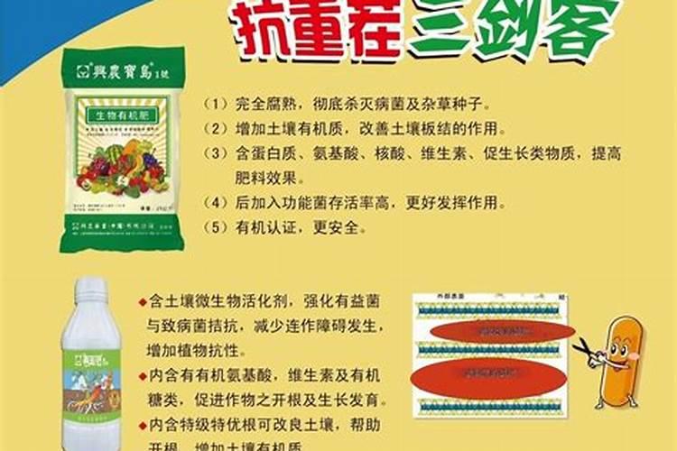 中国有什么特产的水果？