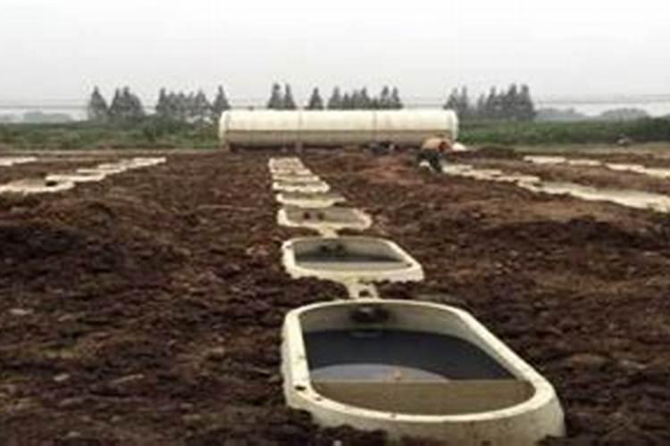 沼气液体能否当底肥用冬季埋了沼气渣是否还需要枯饼