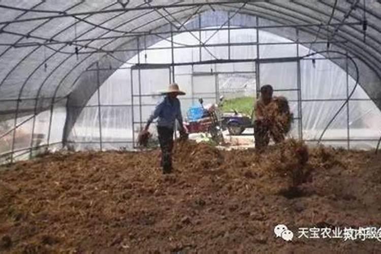 根瘤菌的防治方法？