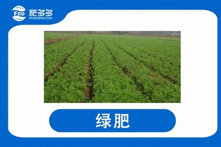我家女儿9个多月去医院查微量元素,结果锌过高 请问专家对小孩有什么影...