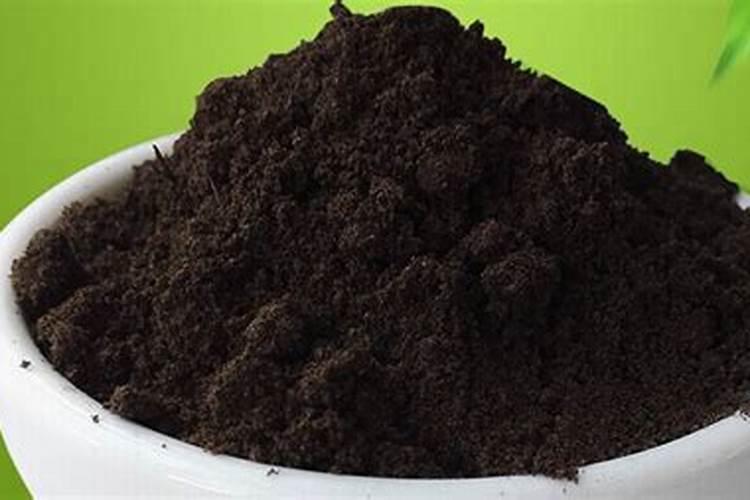 种菜用什么肥料最好