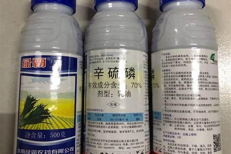 在大蒜的返青期,怎样浇水才能不影响产量？