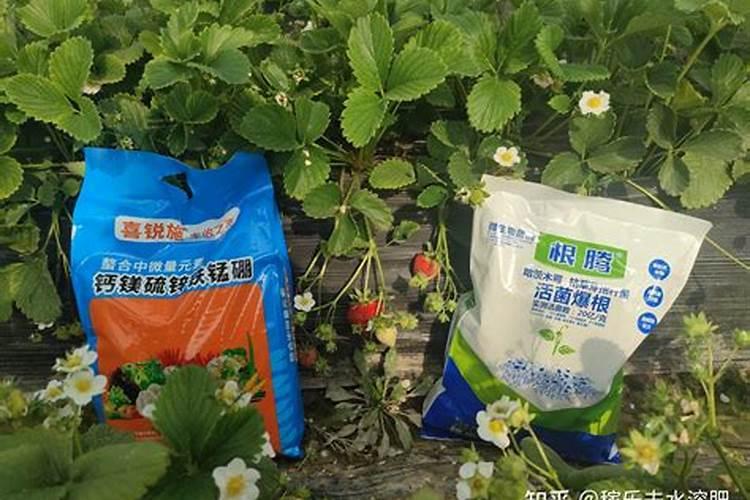 水溶肥哪个品牌好