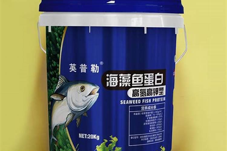 山东昌邑特产:莱州湾鲈鱼