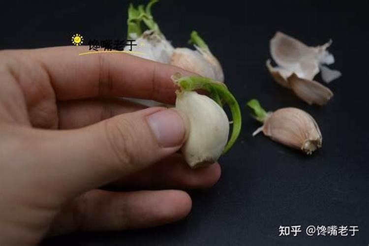 葡萄种植必须使用增甜剂吗？葡萄膨果期怎么管理果甜品质好