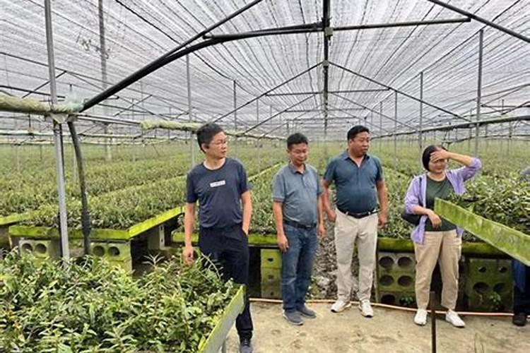 碧护大量元素水溶肥价格