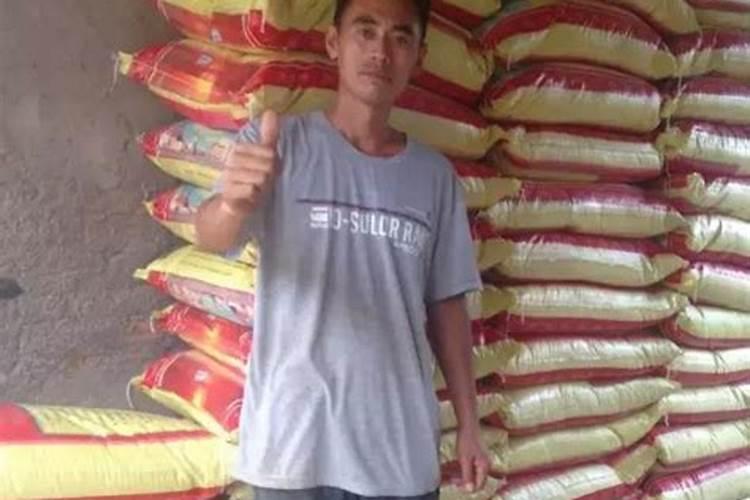 刘能代理的肥料是什么牌子