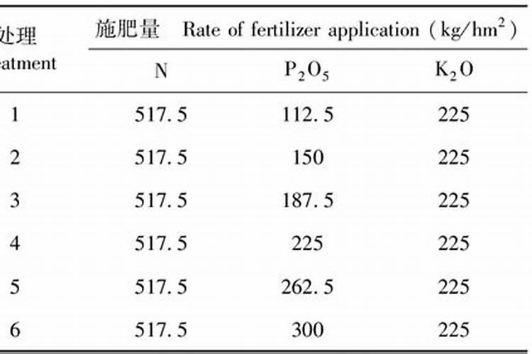 水养吊兰叶面肥什么样的好