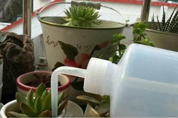 下雨天可以施肥吗