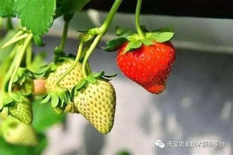 含氯复合肥一般不能使用在哪些作物和土壤中 含氯复合肥的优缺点