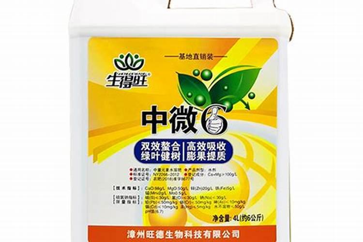 沉香苗多少钱一颗？沉香树树苗价格行情