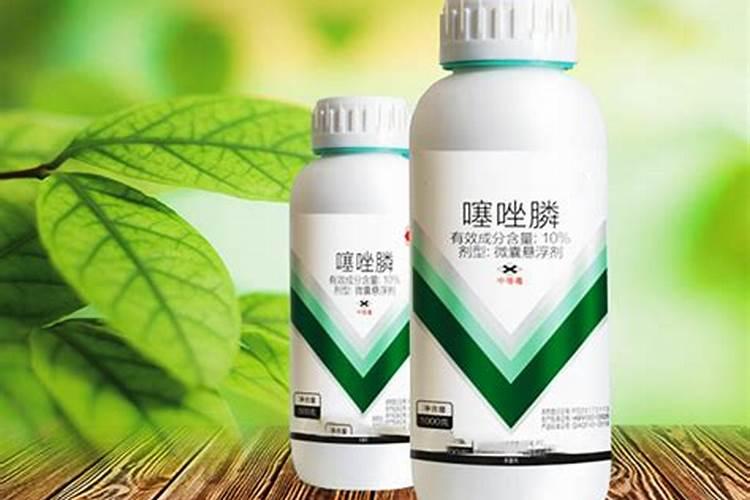 苦瓜肥料下重黄叶怎么处理