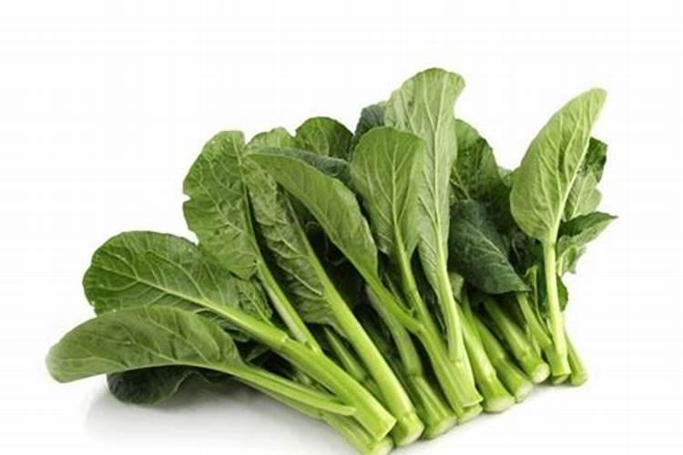 菜心高产施肥要点 菜心怎么养殖好