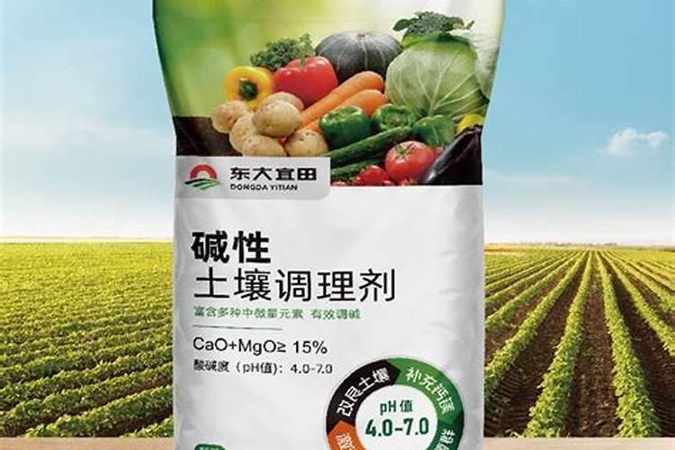花菜几月份种植合适