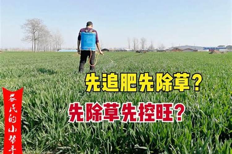 水溶肥在果树上几天能吸收