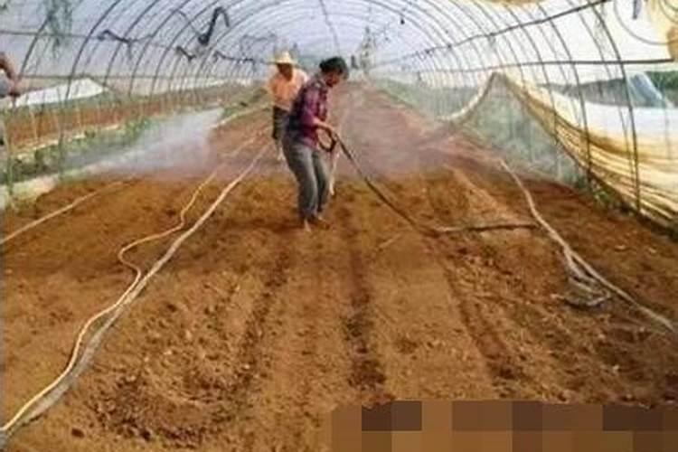 水溶肥是什么肥料,水溶肥料怎么使用效果更好