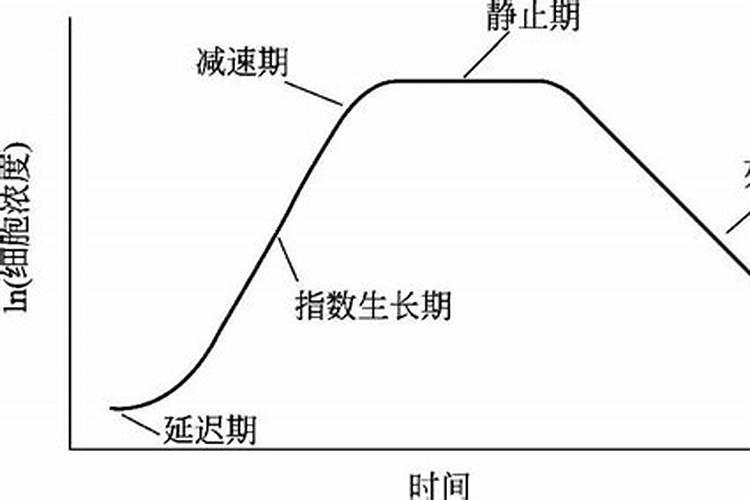 有机肥如何发酵？