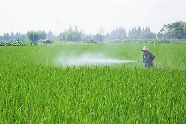 复合肥和大量元素水溶肥的区别
