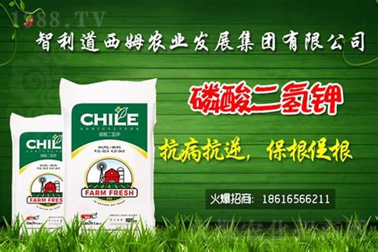 芸乐收的配方