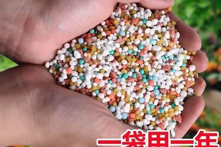 多肉可以施复合肥吗