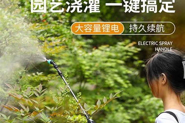 施用有机肥的相关注意事项有哪些