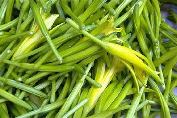 黄花菜叶子发黄怎么救治？