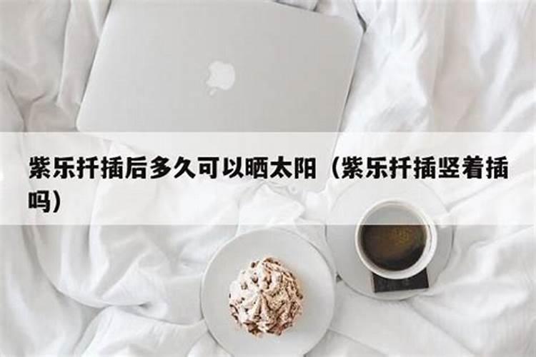 红薯怎么施肥能达到高产(种植扦插红薯高产追肥技术)
