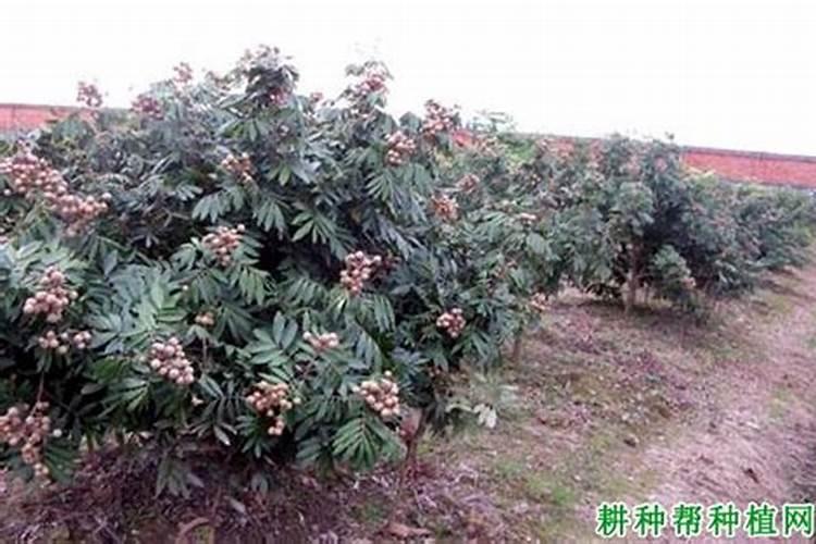 三磷酸钾和山梨酸钾一样吗