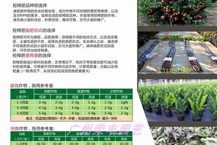 如何正确使用氮肥？