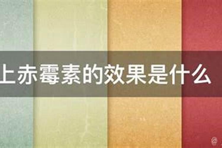 芹菜种植方法