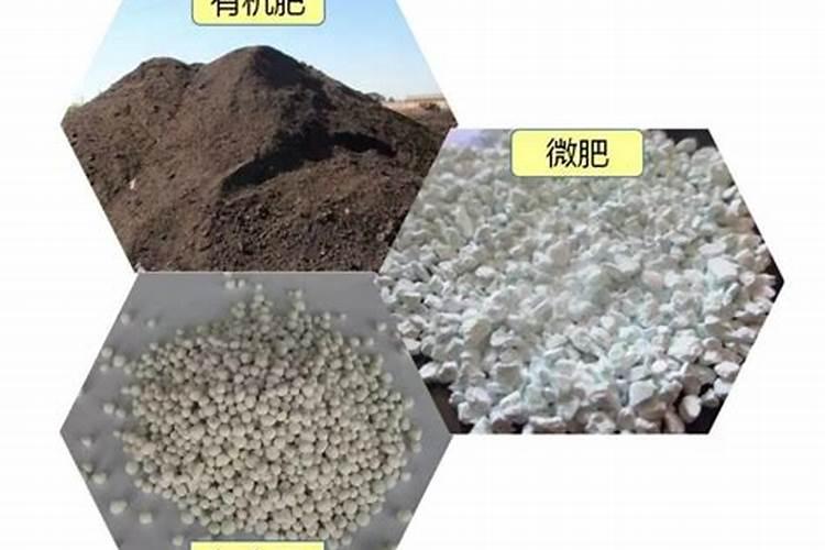 农家肥中有那些元素 农家肥含有的元素简述