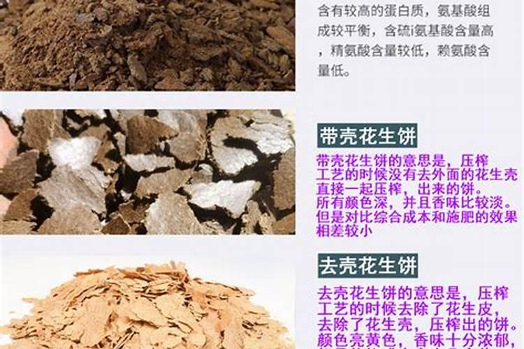 种植花生,做好哪些管理工作,更有利于花生实现高产？